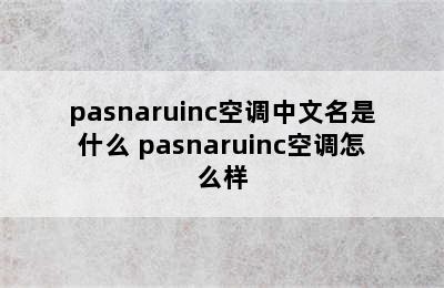 pasnaruinc空调中文名是什么 pasnaruinc空调怎么样